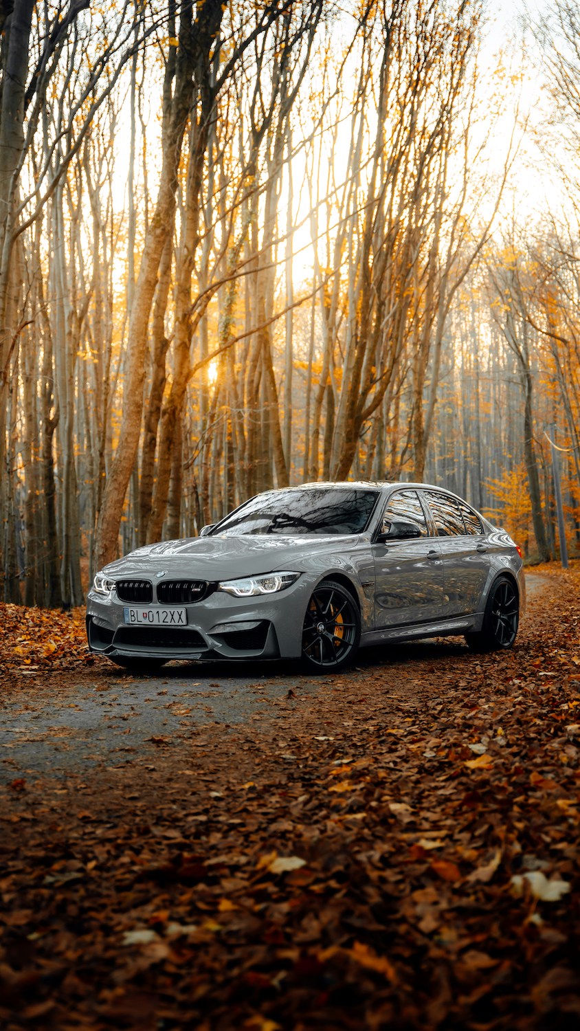 BMW Car Clubs in the USA_classic car jobs